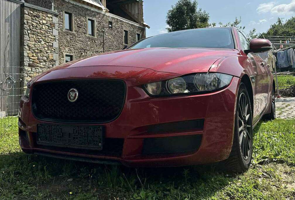 Jaguar XE 2.0 D E-Performance Business Ed.Prestige