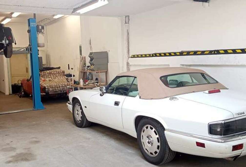 Jaguar CELEBRATION MODEL