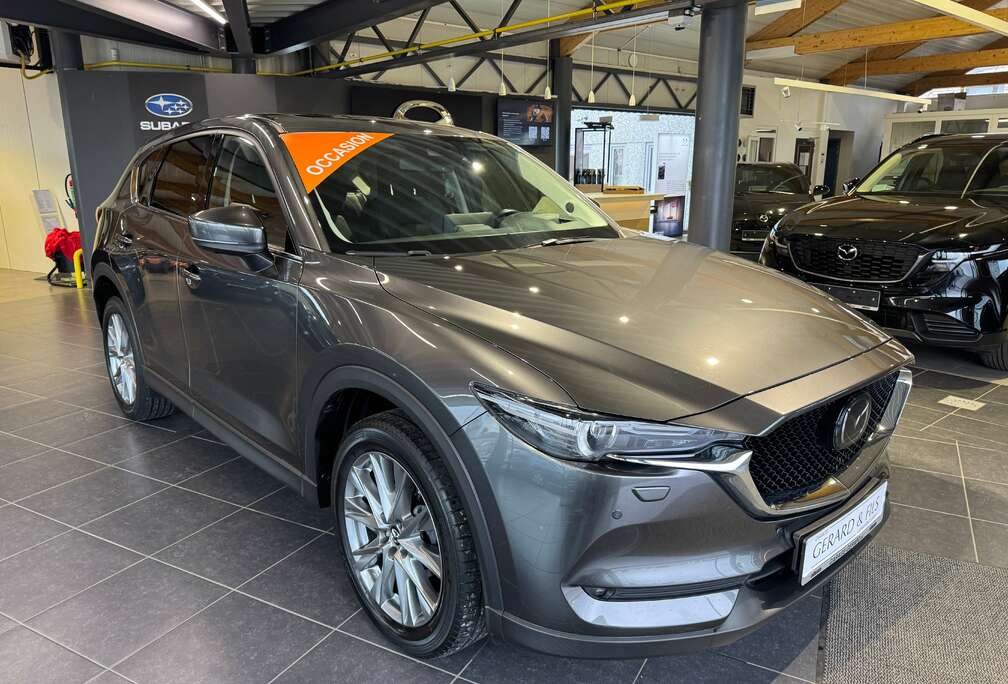 Mazda CX-5 2.0i SKYACTIV-G 2WD Skycruise (EU6d)