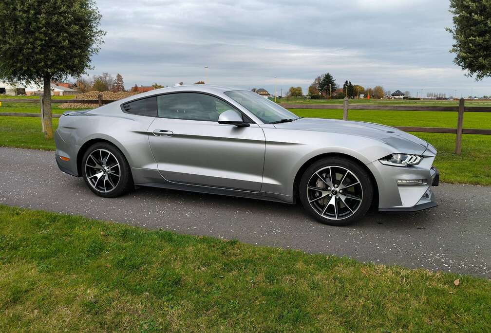 Ford Mustang 2.3 EcoBoost (EU6.2)
