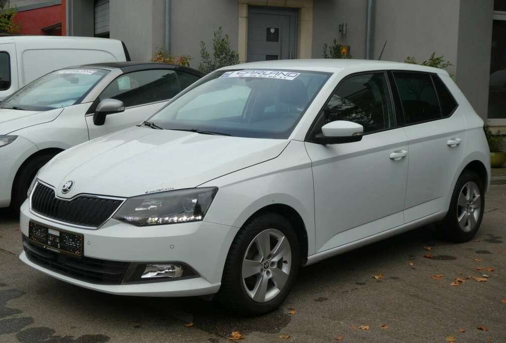 Skoda 1.2 TSi 90 Style