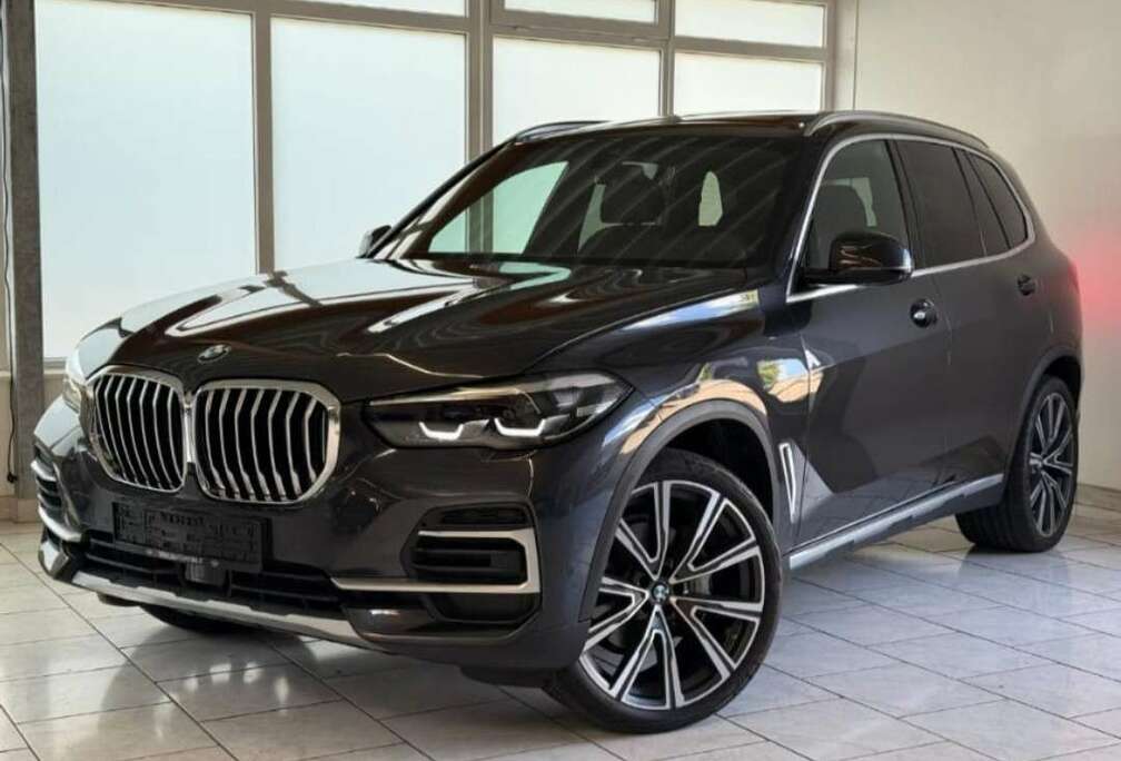 BMW xDrive40i xLine (2022) | 18.800 km | Panorama