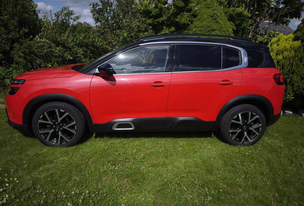Citroen BlueHDi 130 S&S BVM6 Shine