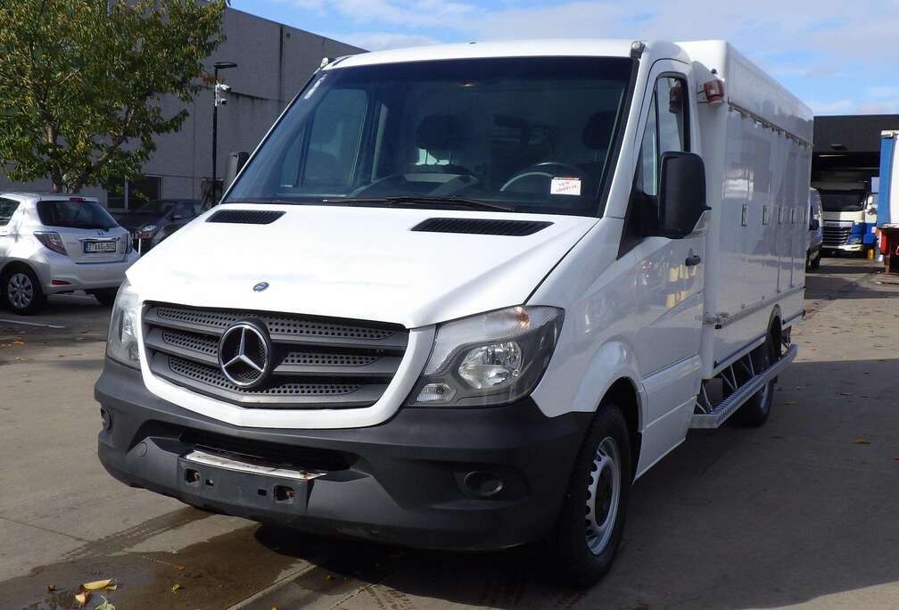 Mercedes-Benz 313 (Stock ID 17731)