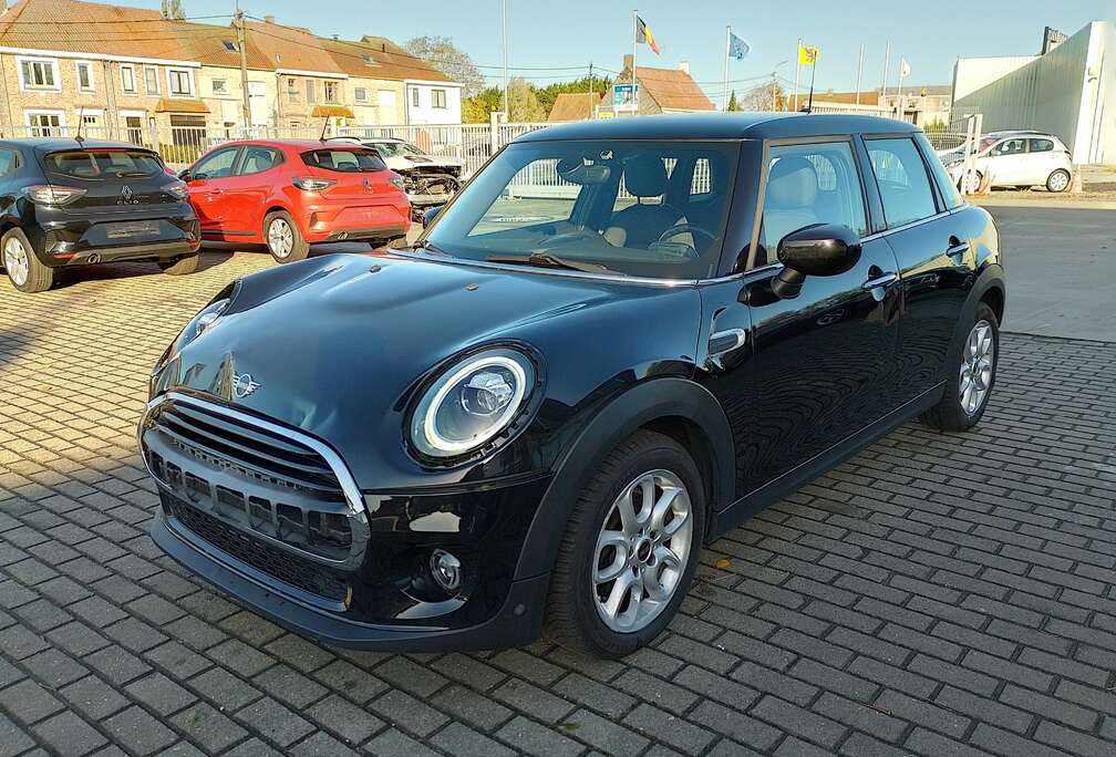 MINI PEPPER Excitement