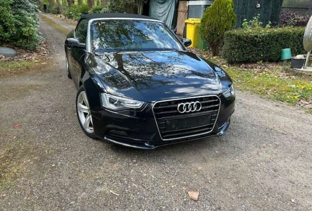 Audi Cabriolet 2.0 TDi S line DPF