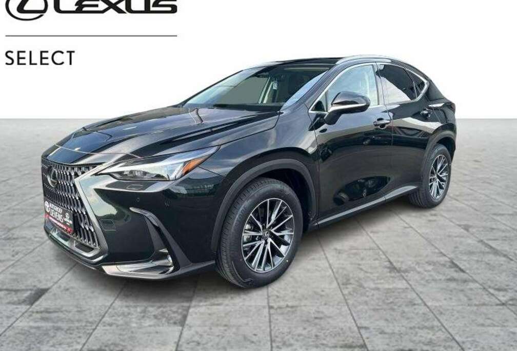 Lexus EXECUTIVE LINE AWD 2.5 CVT