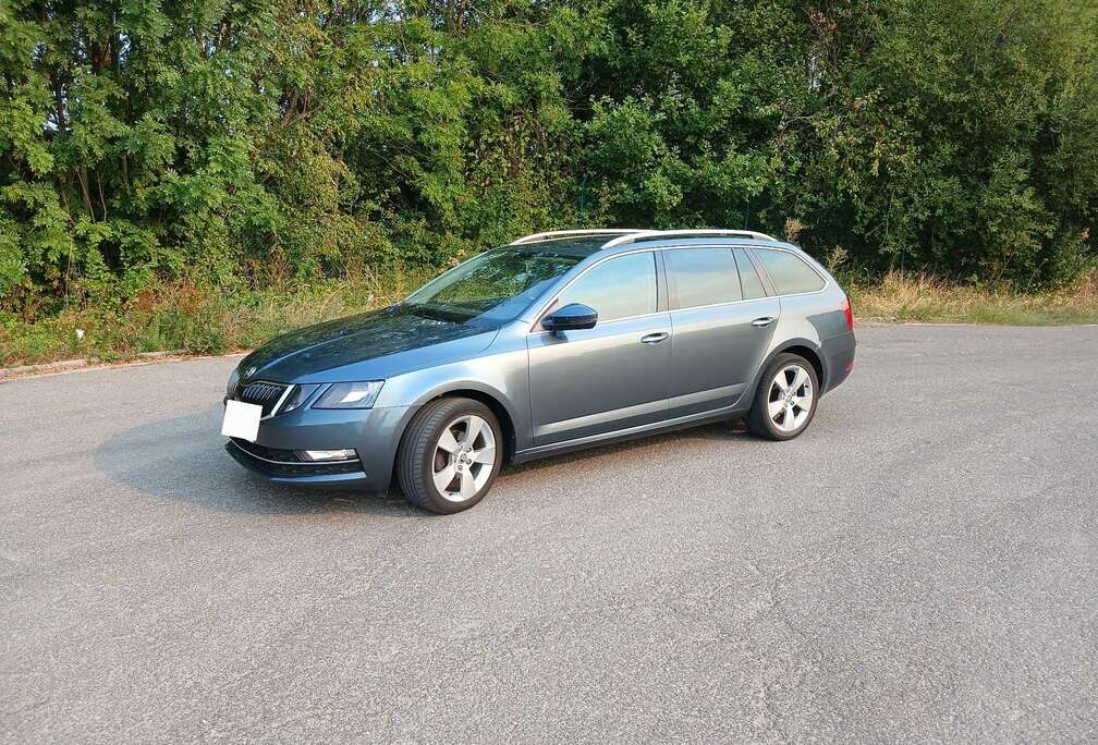 Skoda SW 1.6 CR TDi Style DSG (EU6.2)