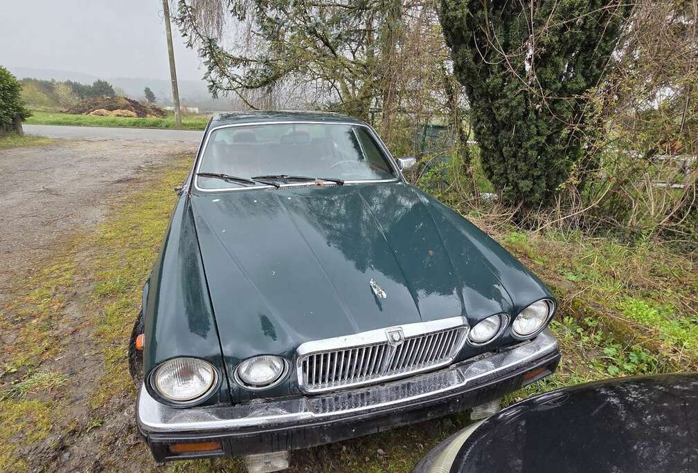 Jaguar