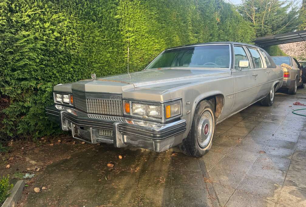 Oldtimer fleet woud brougham limousine 34750 km