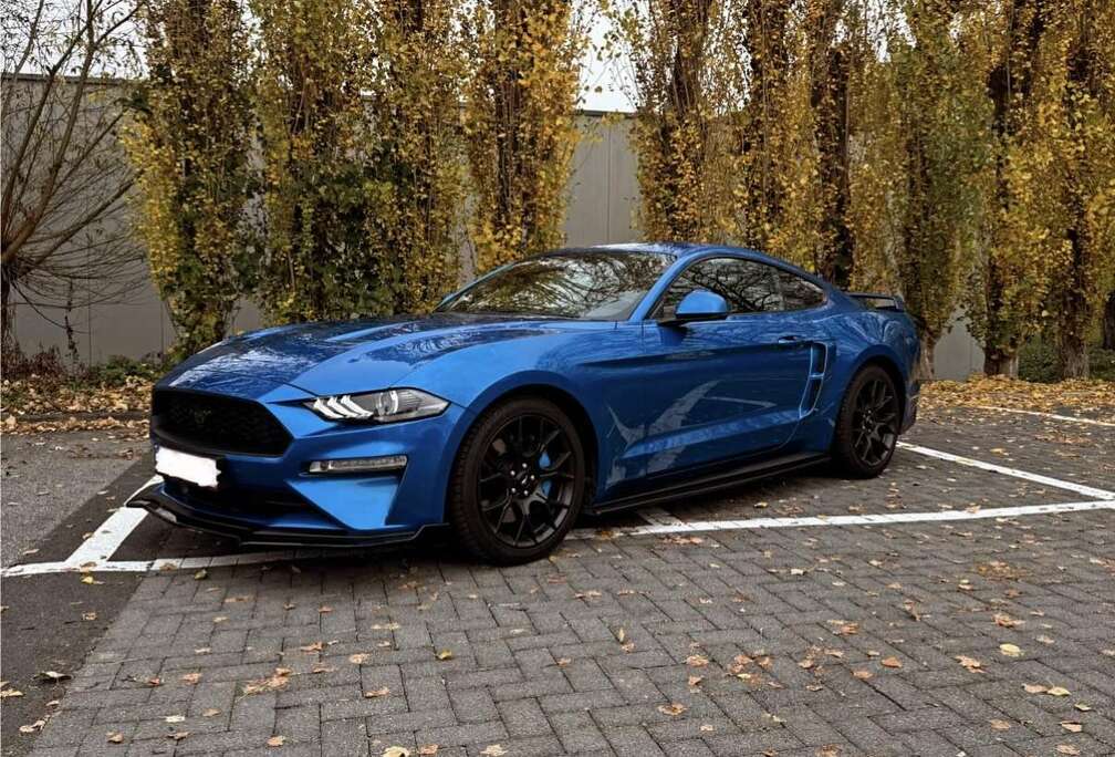 Ford 2.3 EcoBoost (EU6.2)