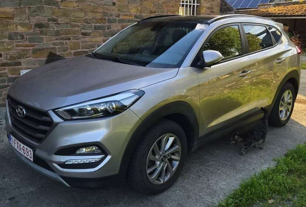 Hyundai 2.0 CRDi 2WD Executive ISG