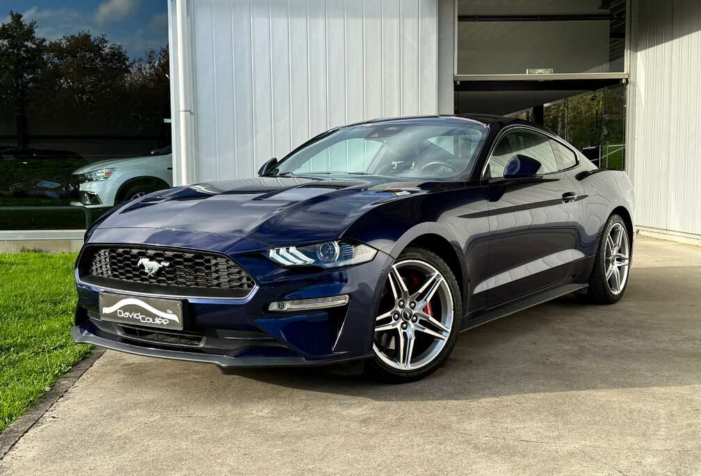 Ford 2.3, Cuir Chauff/Ventil, Cruise Adapt