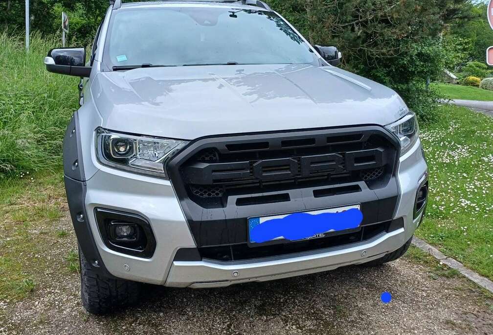 Ford 2.0 BiT EcoBlue Wildtrak (EU6.2)