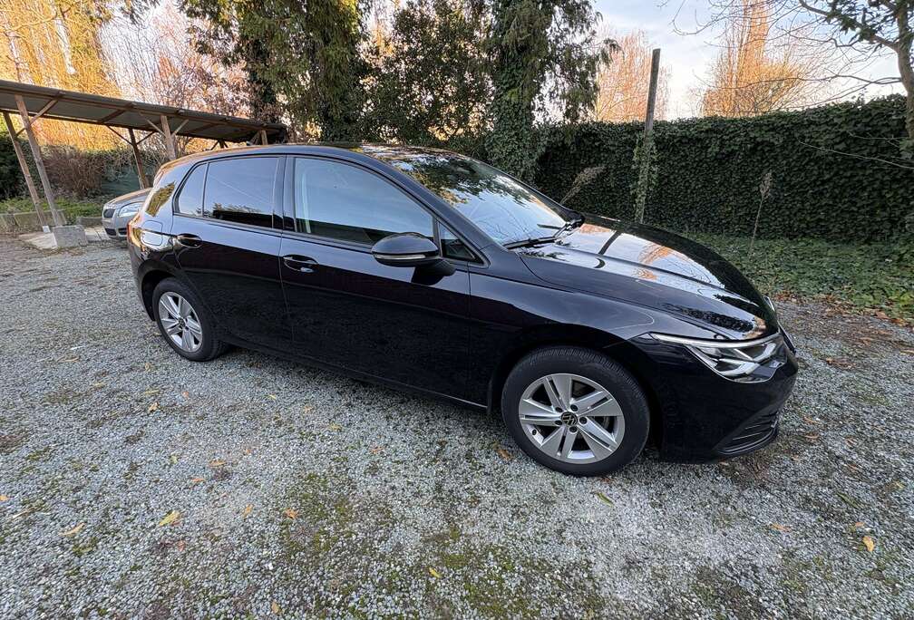 Volkswagen Golf 1.5 eTSI DSG. Garanti