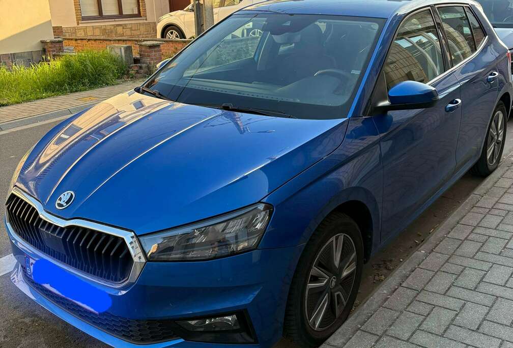 Skoda Fabia 1.0 TSI Clever +