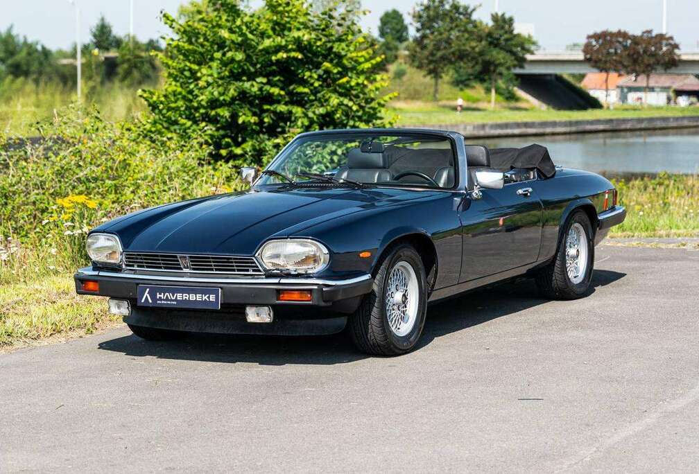 Jaguar