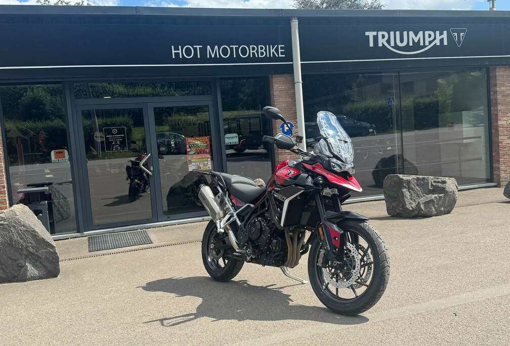 Triumph GT Pro (garantie 24 mois)