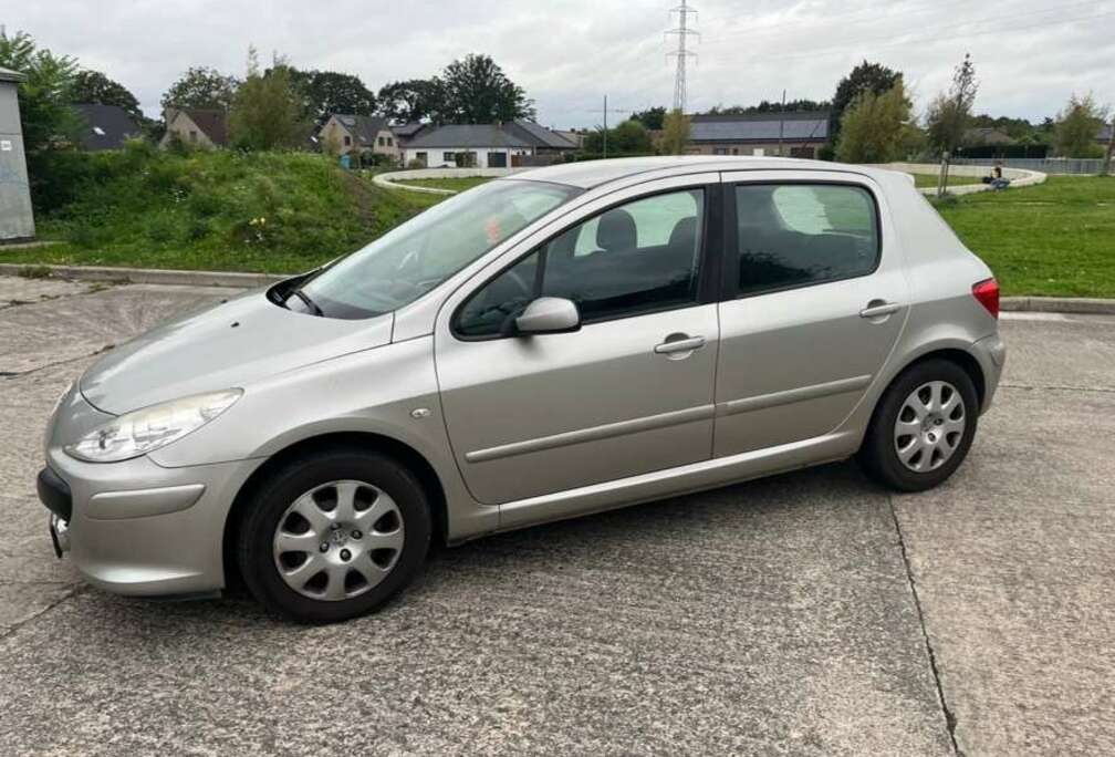 Peugeot 1.6i 16v XS