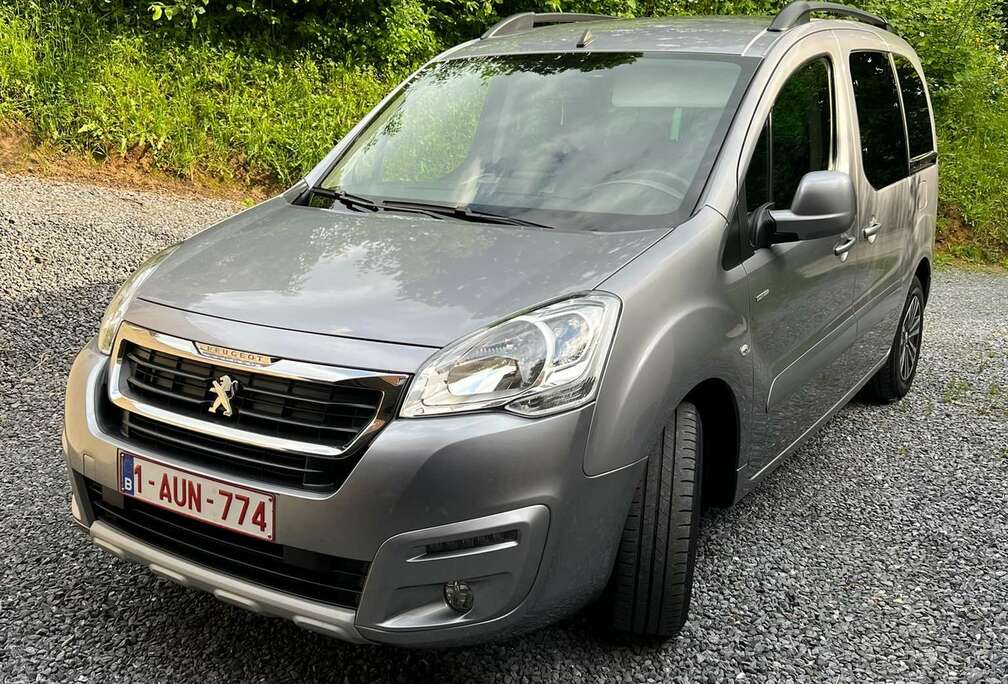 Peugeot Partner Tepee 1.6 BlueHDi