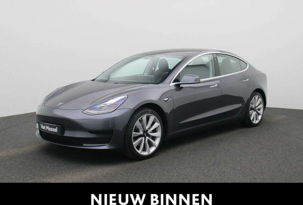 Tesla Standard RWD Plus 60 kWh Camera  PDC V+A  Zetelv