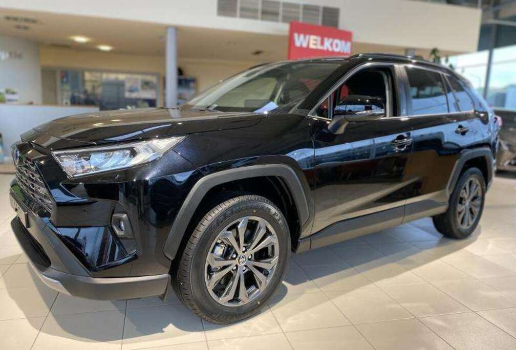 Toyota Team D.