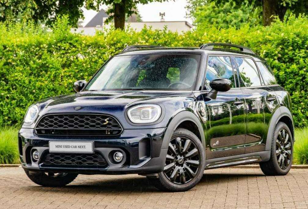 MINI Classic Trim