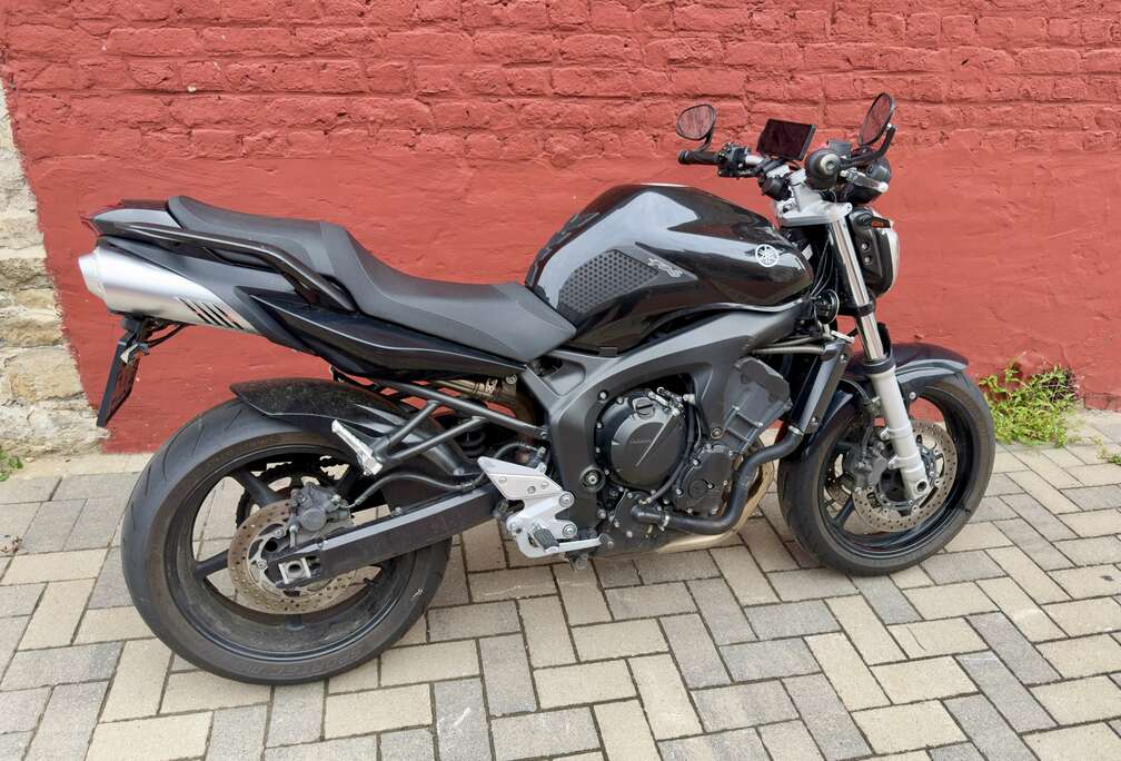 FZ6N