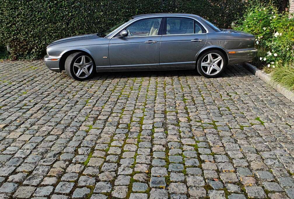 Jaguar souvereign