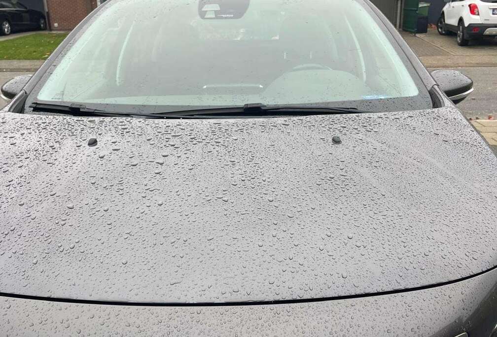 Peugeot 1.2 PureTech  Panodak + Camera + Sensors