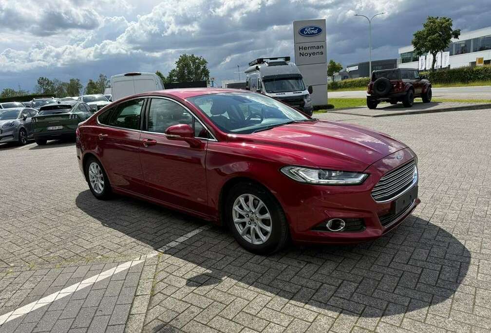 Ford Enkel voor professionele verkoop.