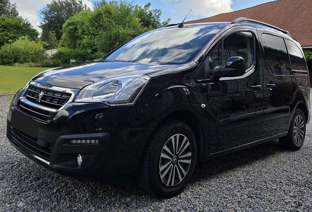 Peugeot Tepee