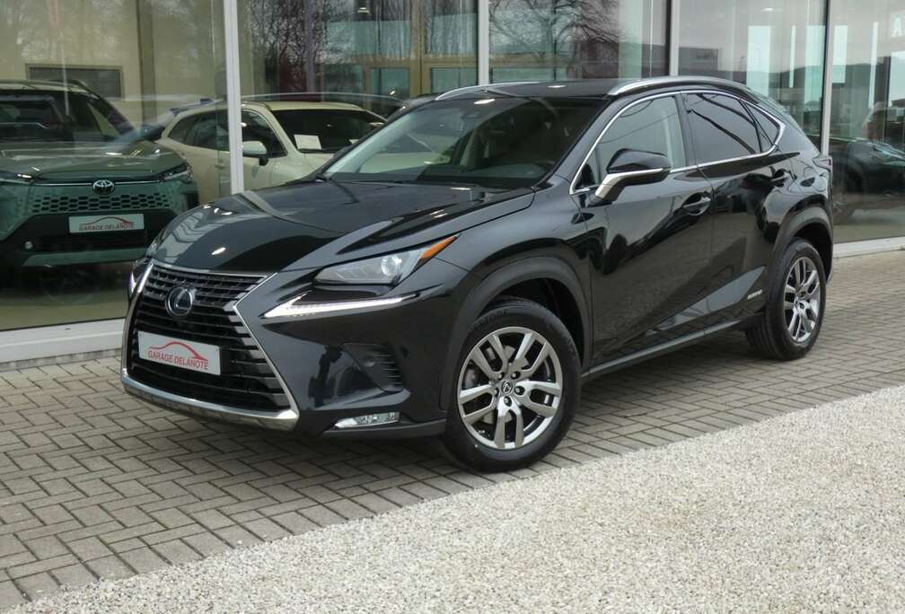 Lexus Hybrid AWD Executive Line +LEDER +TREKHAAK