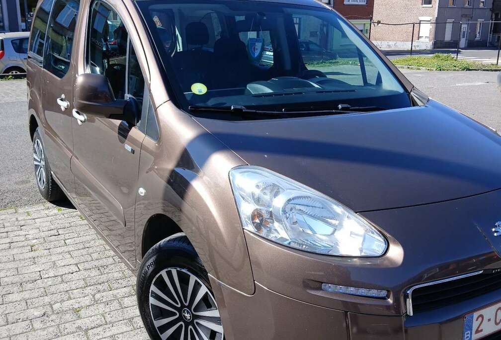 Peugeot Tepee 1.6 HDi