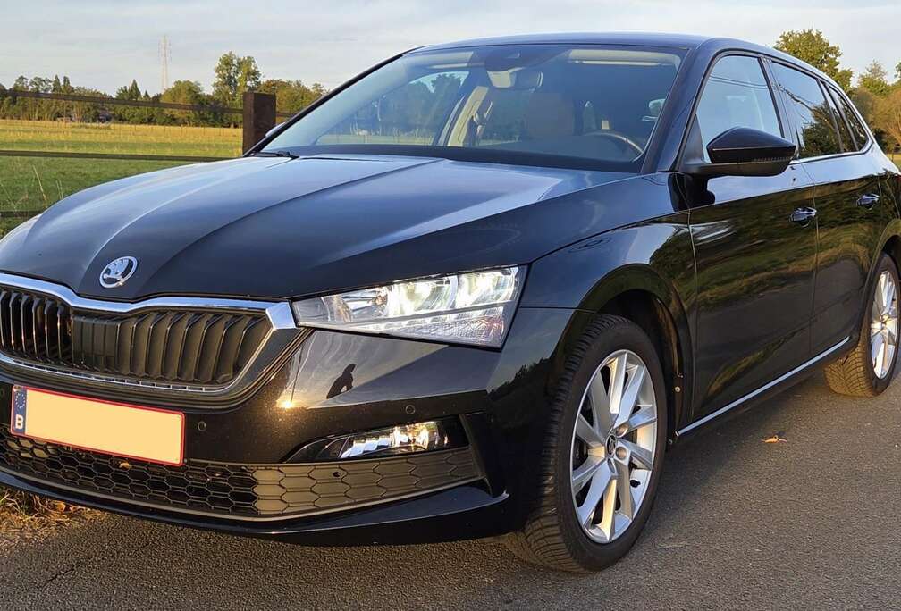 Skoda 1.0 TSI automatische versnellingsbak