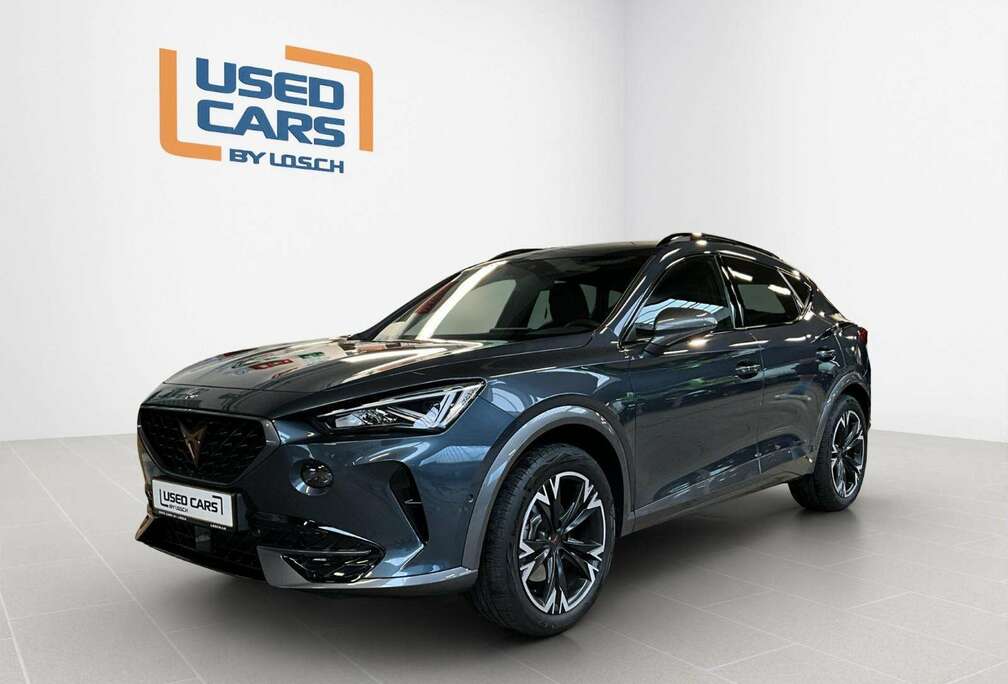 DSG+RearView+P.DriveL