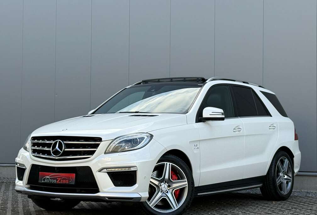 Mercedes-Benz V8 BITURBO 557PK LichtevrachtMetZetels Veel Opties