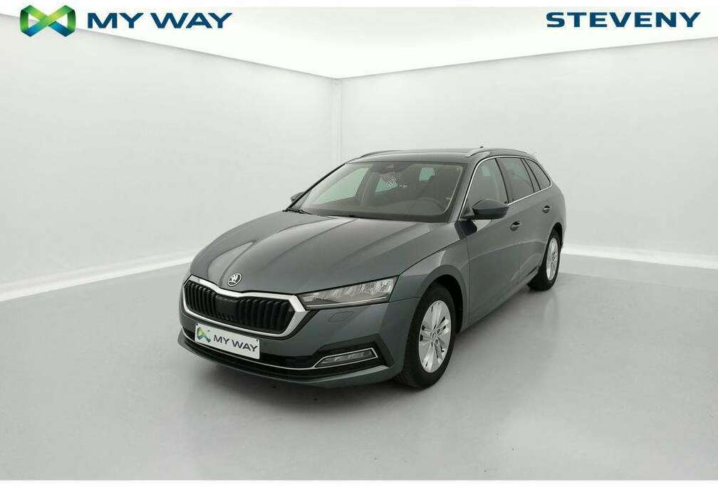 Skoda Ambition 2.0TDI 110kW(150cv) DSG7