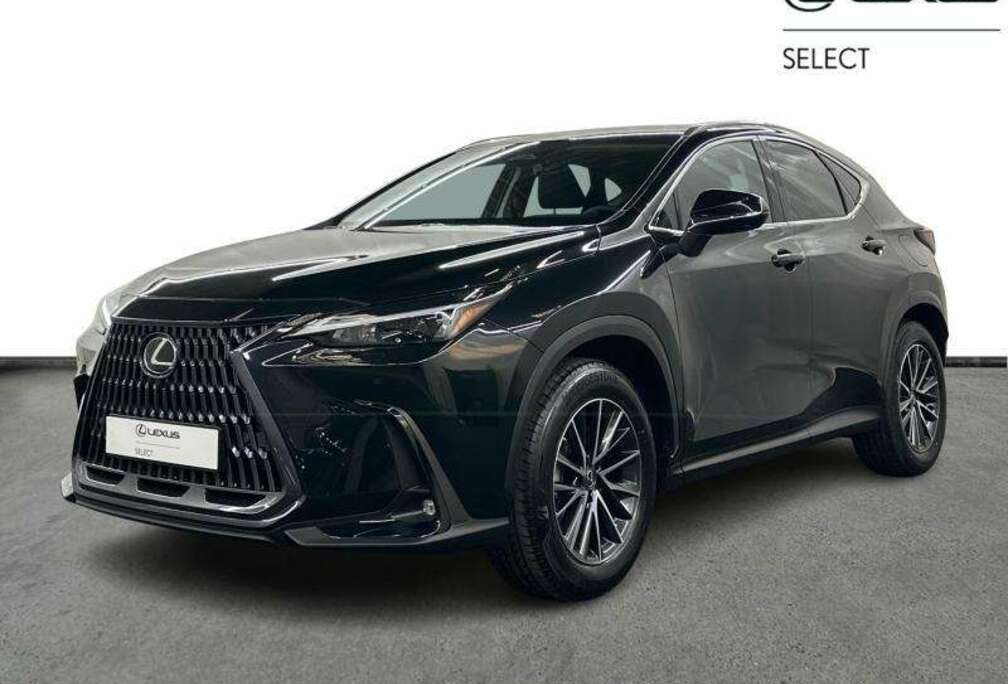 Lexus Executive Line + HUD