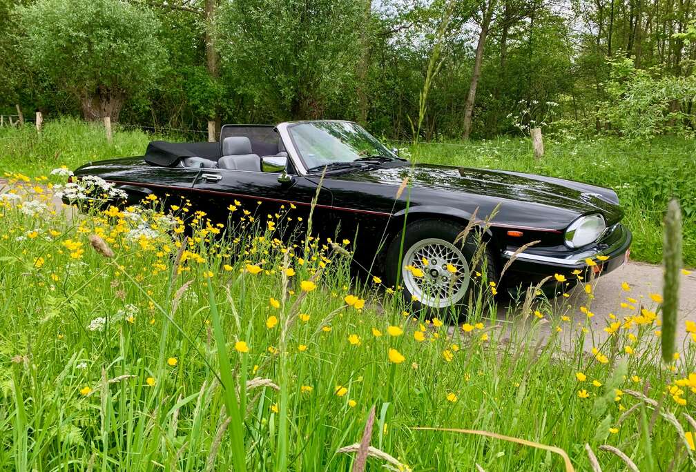 Jaguar XJSC V12 Automatik Convertible