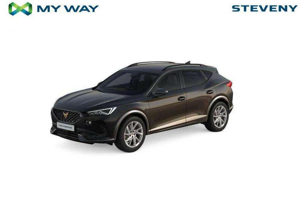 FORMEN1,5 TSI F 5T 110 DS9 A7