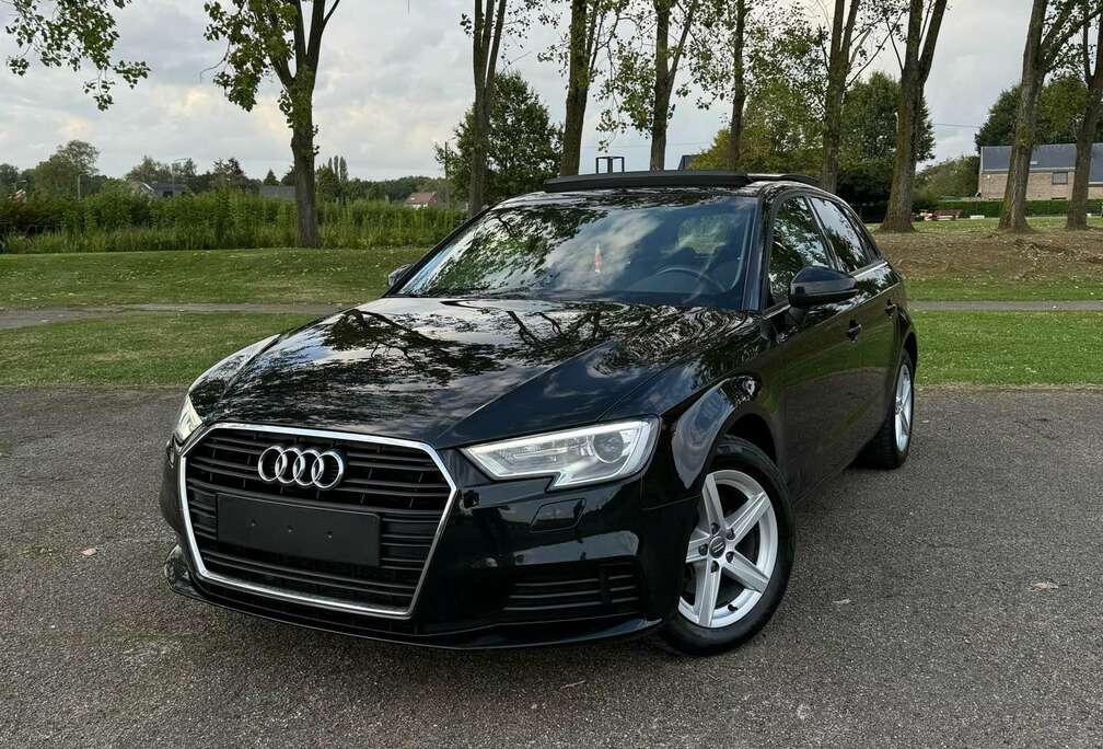 Audi Berline 30 TDI 116 S tronic 7 Design