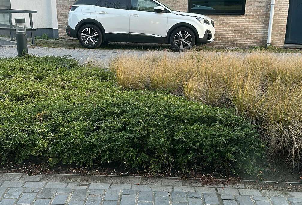 Peugeot 1.2 L 131 ch