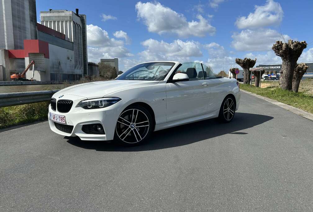 BMW Cabrio 220iA OPF