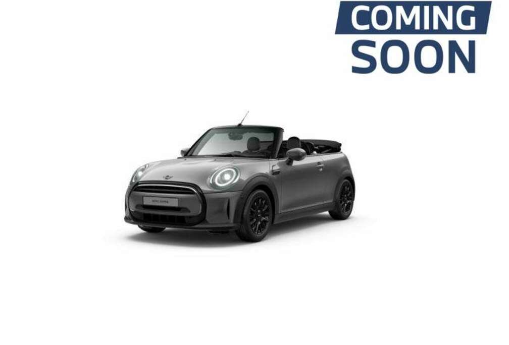 MINI Classic Trim