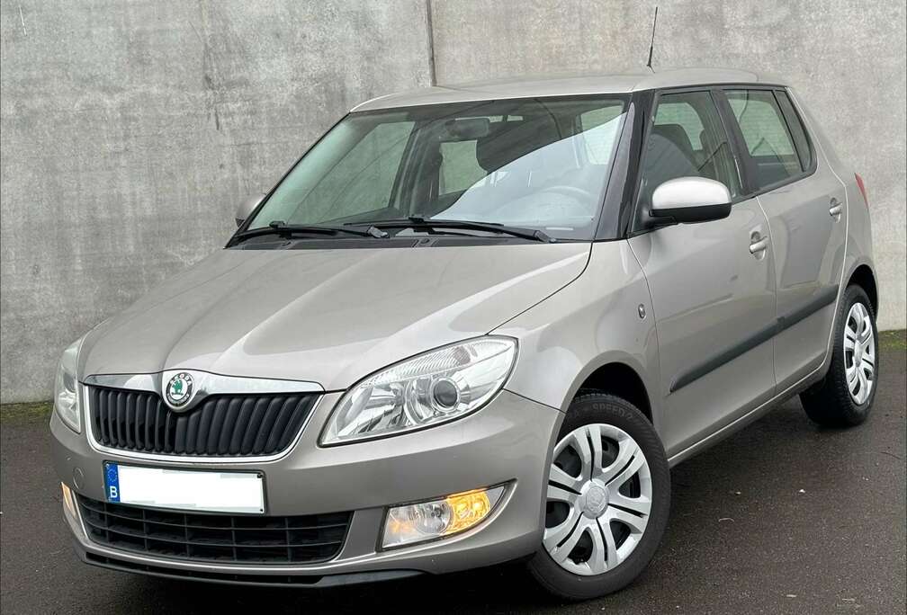 Skoda 1.2 TDi/2013/EURO5/AIRCO/196.000KM