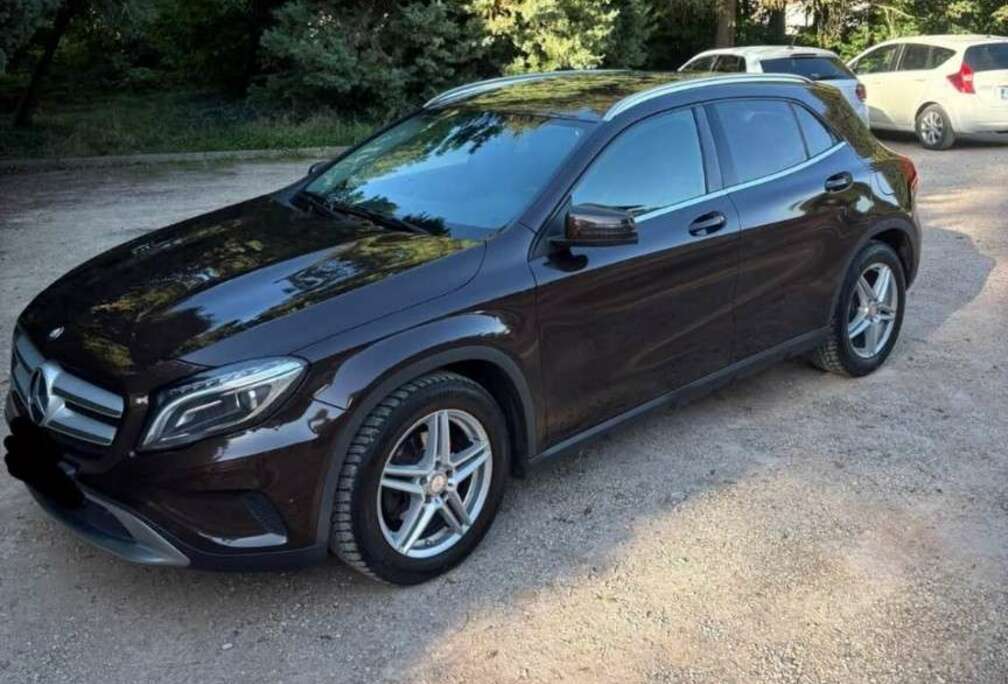 Mercedes-Benz Business Executive Edition