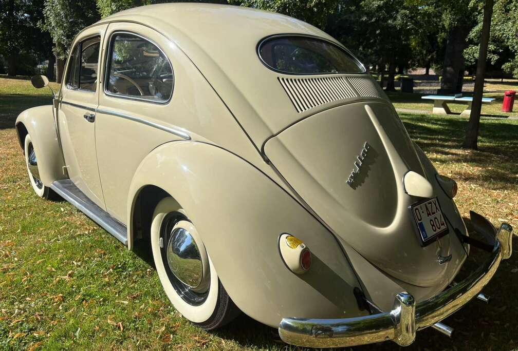 Volkswagen coccinelle ovale 1954