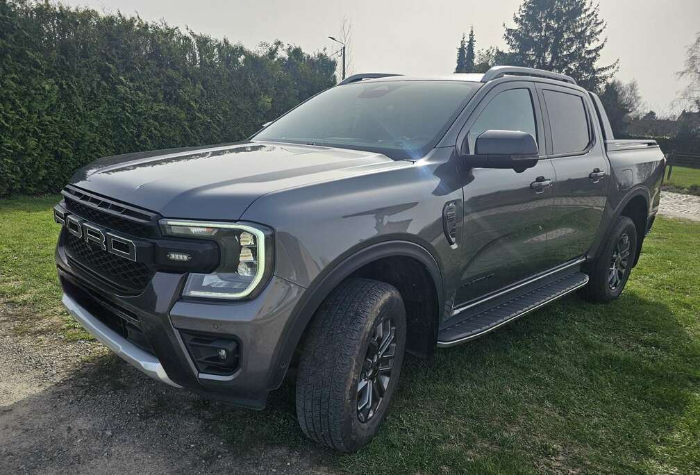 Ford 2.0 EcoBlue e-4WD Wildtrak