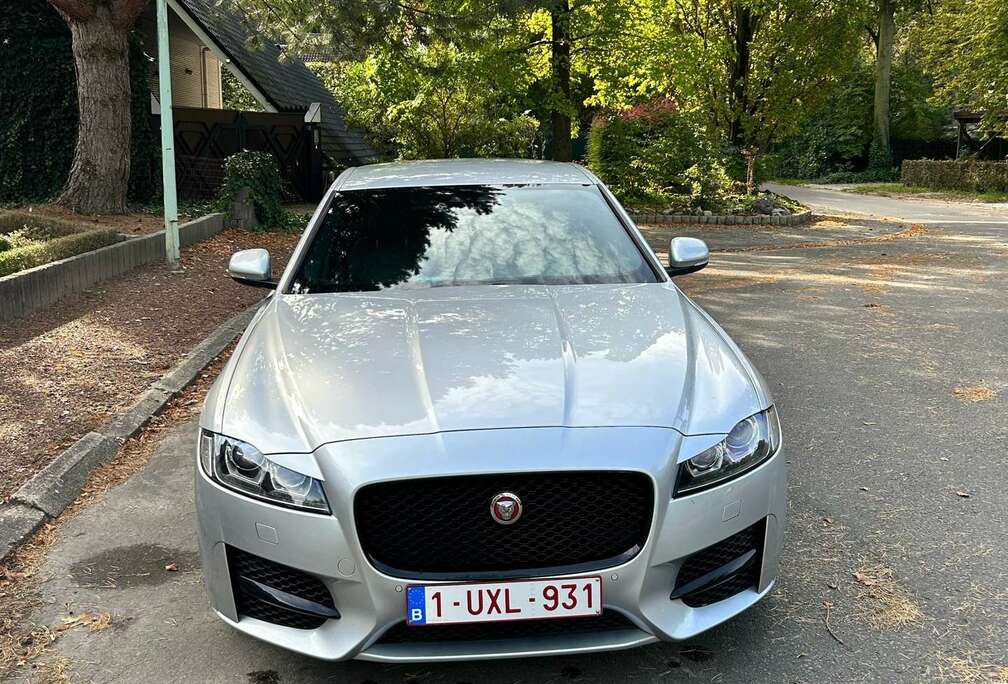 Jaguar